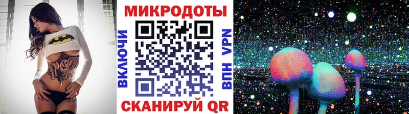 Псилоцибиновые грибы ЛСД  купить   Гвардейск 